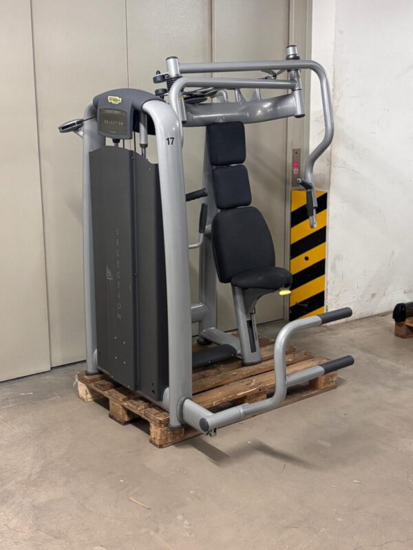 0d8484a3-f7d7-4d0c-b2b3-51867387f838 Technogym Selection Line Chest Press | Occasion