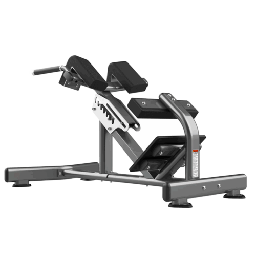 RealLeader Glute Ham Raise | FW-2029