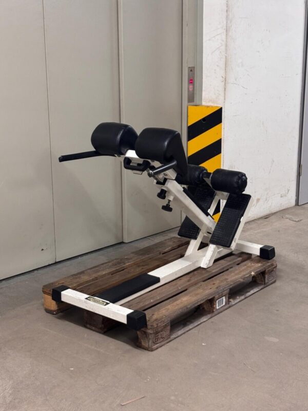 Technogym Isotonic Line Hyperextension | Occasion