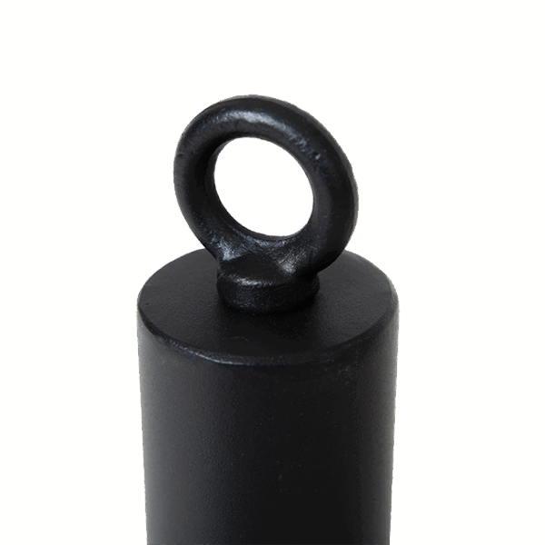 62_web Loading Pin | Broche de poids 50 mm