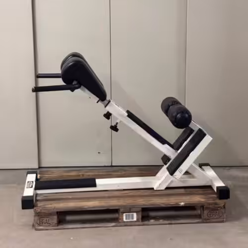 6723fe9f-ac3d-4408-bb0b-381bb0dbdfcd Technogym Isotonic Line Hyperextension | Occasion