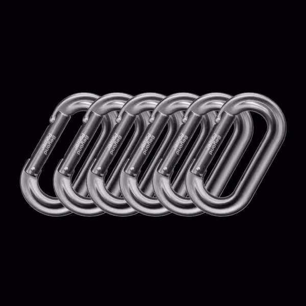 Carabiner01_4884c11b-ac76-4c4a-8311-308f2620efee-305417-10 Beyond Power Premium Carabiner | 6er Packung Karabinerhaken
