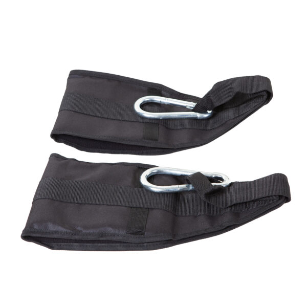 Ab straps with carabiner | Ab Straps