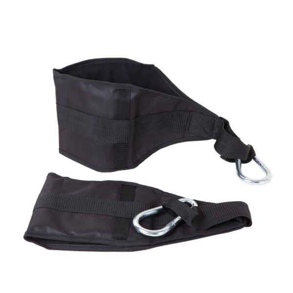 Ab straps with carabiner | Ab Straps