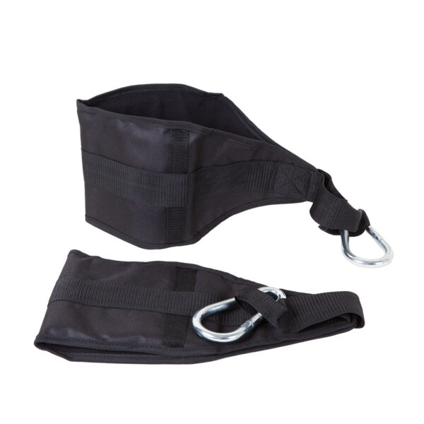 Bauchtrainingsschlaufen mit Karabiner | Ab Straps