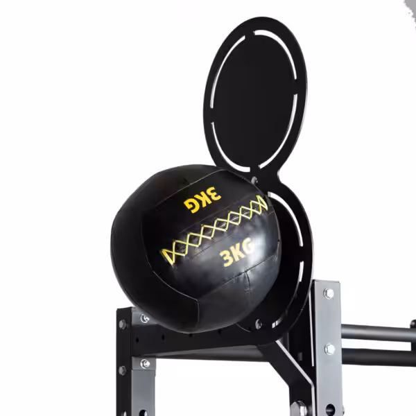 Miscellaneous_12 R-SERIES Wall Ball Double Target