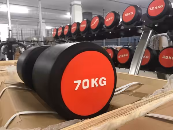 Manubri fino a 70 kg | Manubri rotondi pesanti