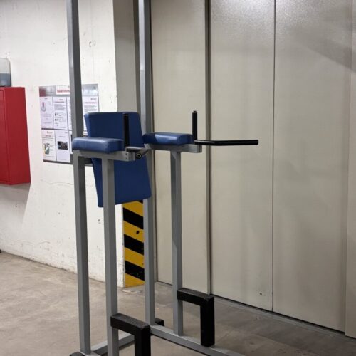 IMG_0107 Technogym Isotonic Chin Dip | Occasion