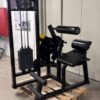 Life Fitness Abdominal Back Extension | Occasion