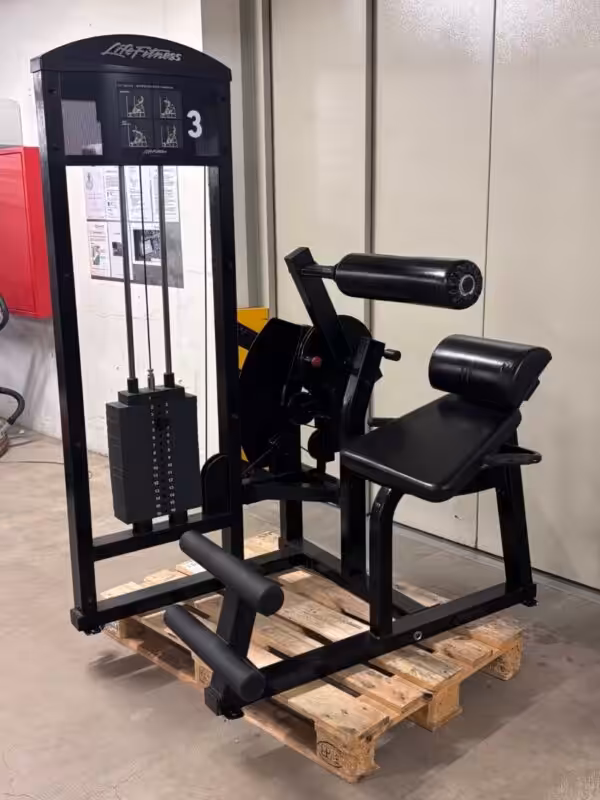 IMG_0874 Life Fitness Abdominal Back Extension | Occasion