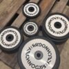 Technogym Hantelscheiben Plate Set 30mm 137.5 kg | Occasion