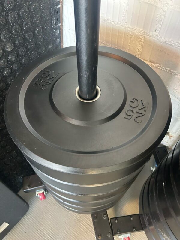 IMG_6225 Bumper Plate Set | Occasion