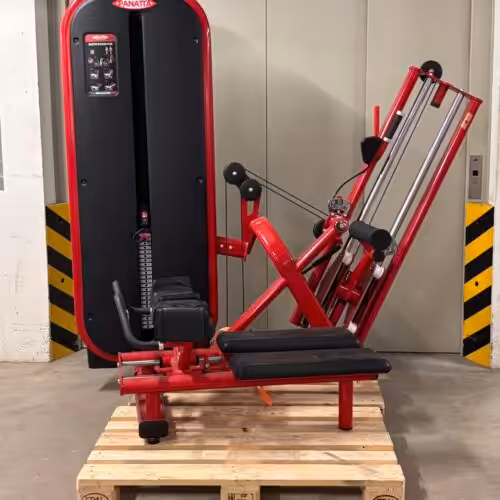 Panatta Master Gluteus Plus | Occasion