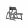 RealLeader Curl a braccia sedute | FW-1004