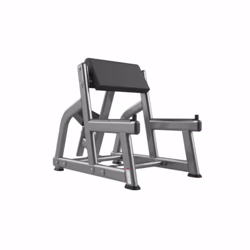 RealLeader Seated Arm Curl | FW-1004