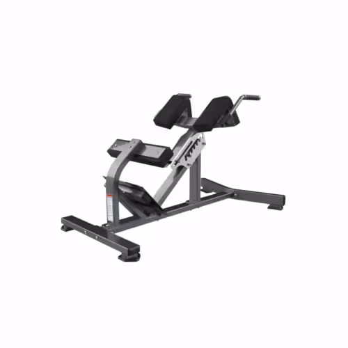 RealLeader Hyperextension | FW-2006