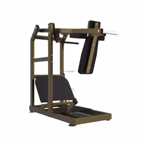Realleader Pendulum Squat | LD-2006