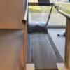 Tapis roulant H/p/cosmos | Usato