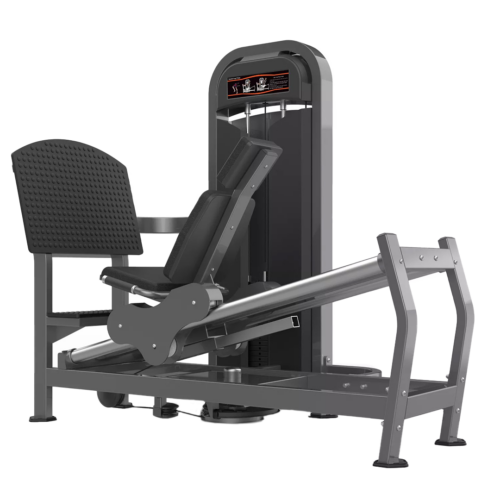 RealLeader Seated Leg Press | M2-1009