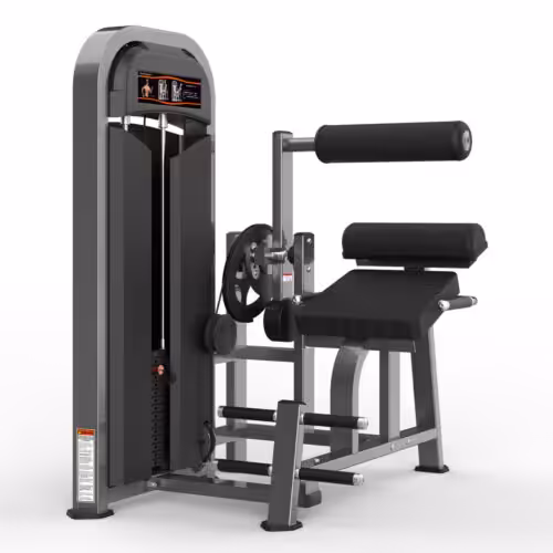 M2-1016 Realleader Back Extension | M2-1016