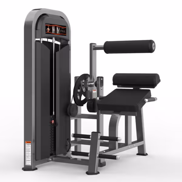 M2-1016 Realleader Back Extension | M2-1016