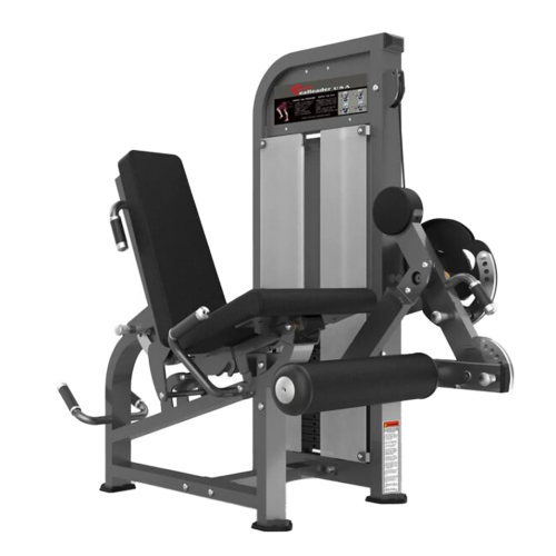 Extension de jambes RealLeader Leg Curl Combo | PF-1007