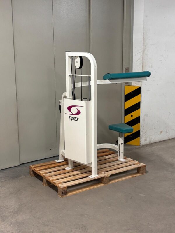 Cybex Ab Crunch | Occasion