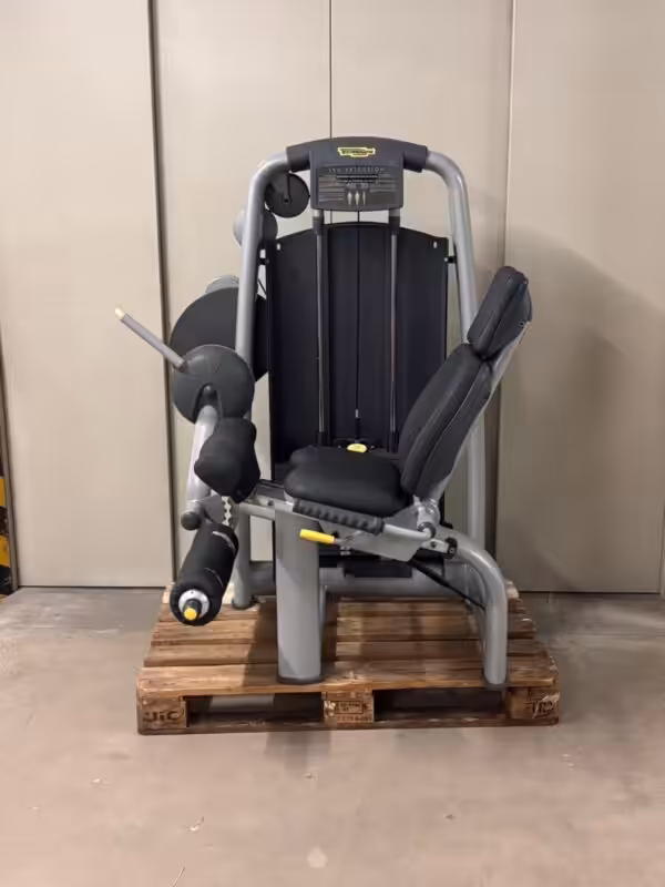 Ligne Technogym Selection Leg Extension | Occasion