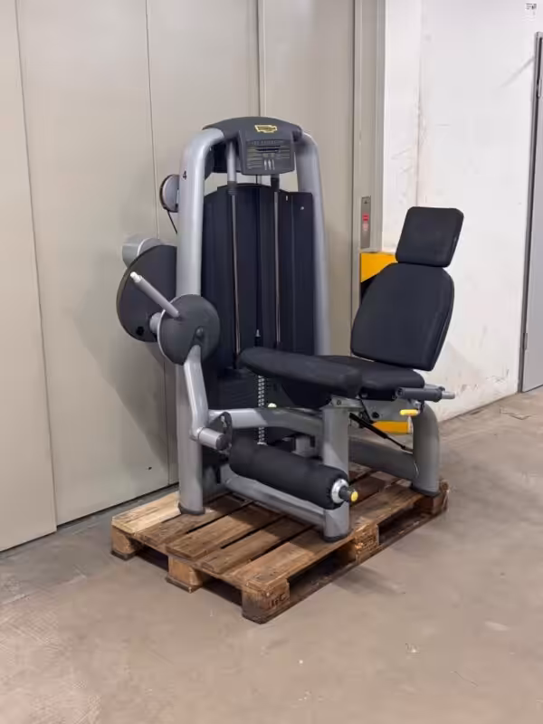 Ligne Technogym Selection Leg Extension | Occasion