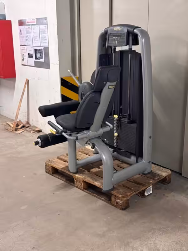 Ligne Technogym Selection Leg Extension | Occasion