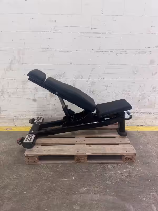 Realleader Adjustable Bench FW-1013a | Occasion