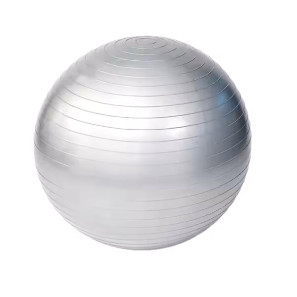 f-019f799736c7762ba19519fff7a8a979-f-16811-gymnastikball-65-cm-inkl-pumpe-1-f-16811_gymnastikball-65cm_0-20250314-1 Palla per esercizi 65 cm | incl. pompa