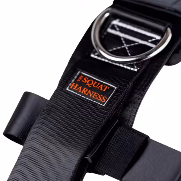 f-019fc394b82f7608b74bebdb6009fffc-f-54244-beyond-power-squat-harness-squat-gurt-4-33-1 Beyond Power Squat Harness | Squat Belt