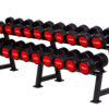 Set di manubri fino a 60 kg | Manubri rotondi